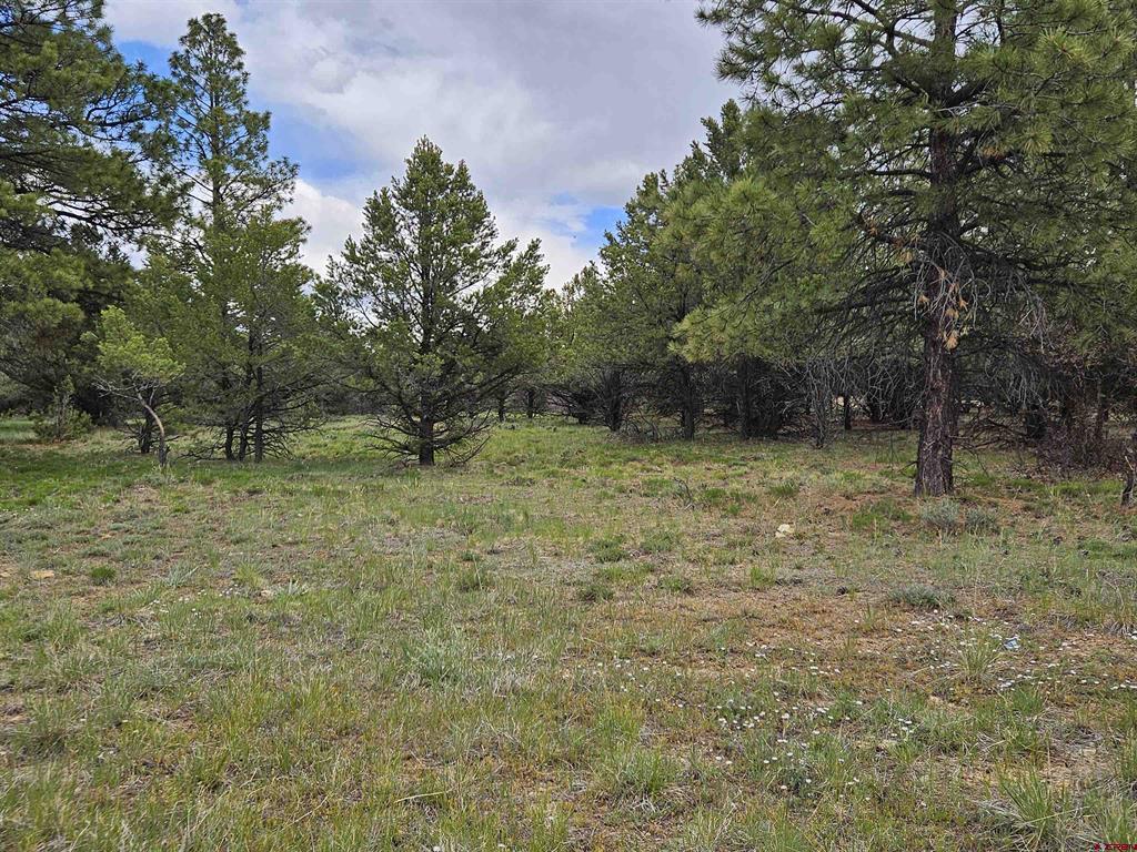 Tbd Marmot Drive Ridgway CO 81432