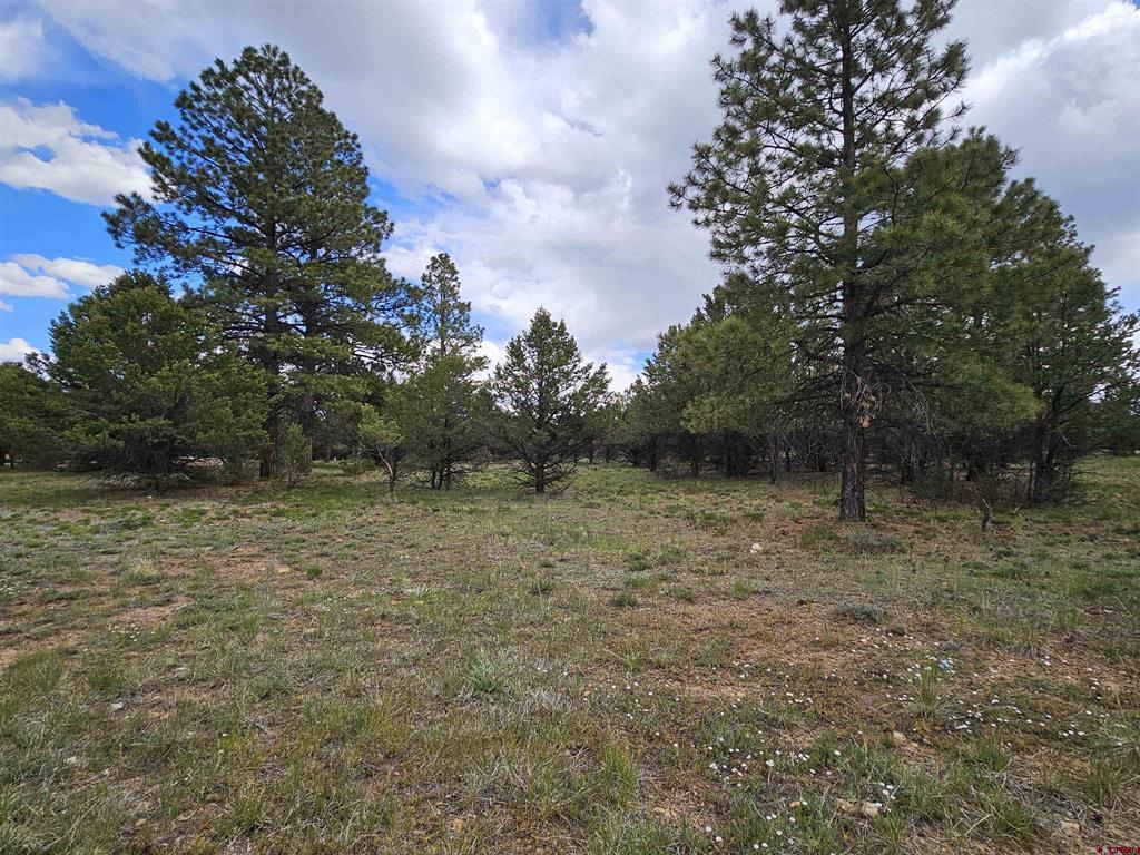 Tbd Marmot Drive Ridgway CO 81432