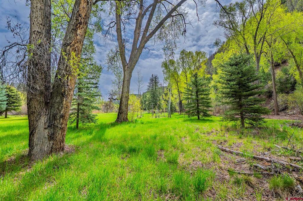 Pagosa Springs CO, 69 Evening Rain