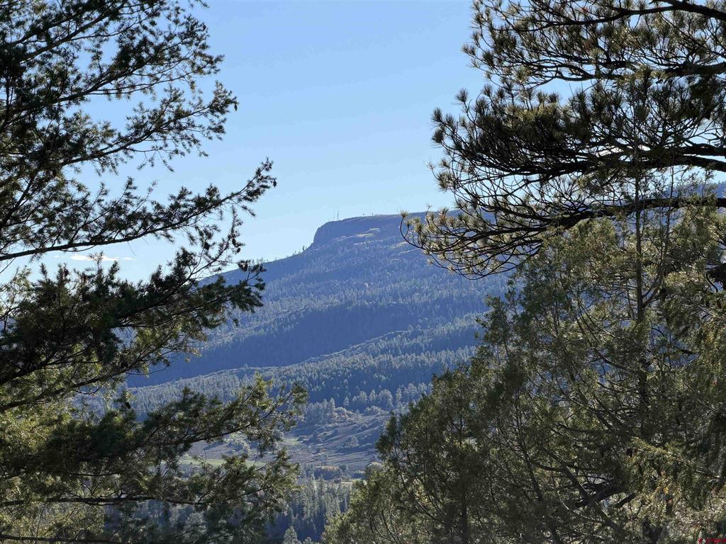 X S Cougar Court Pagosa Springs CO 81147