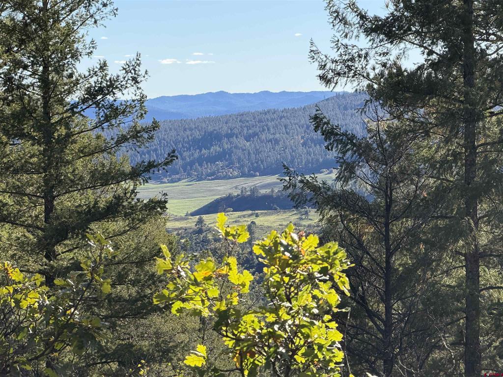 X S Cougar Court Pagosa Springs CO 81147