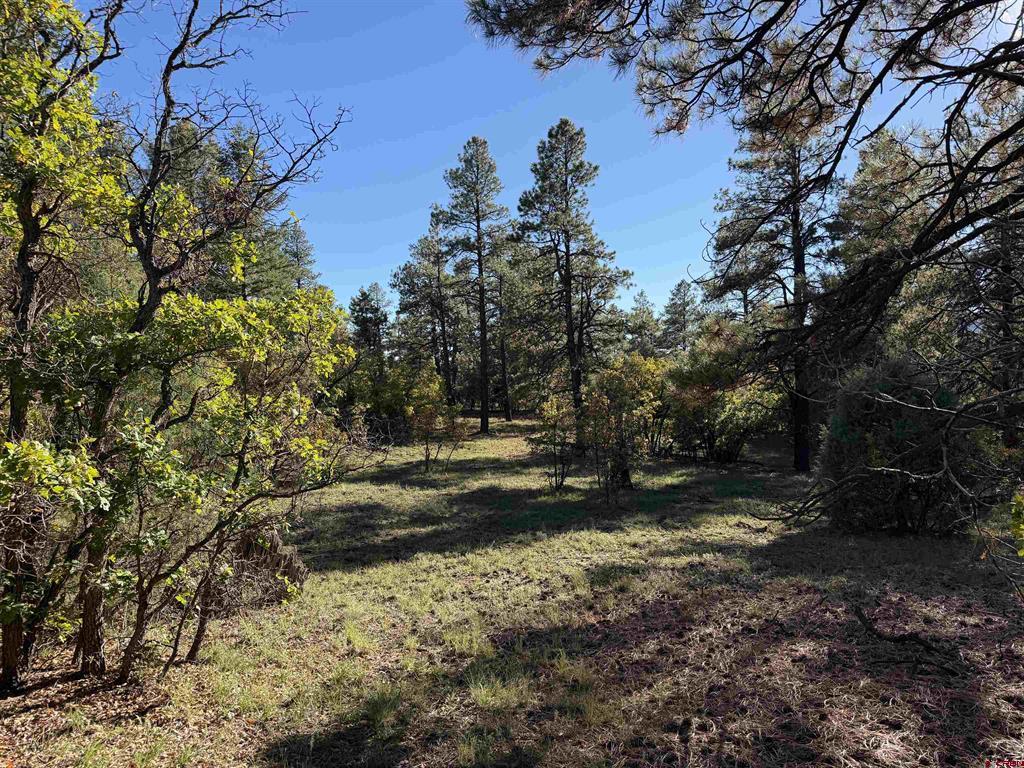 X S Cougar Court Pagosa Springs CO 81147