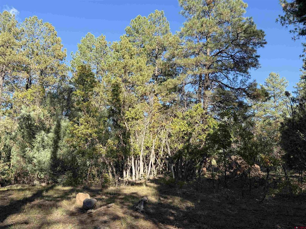 X S Cougar Court Pagosa Springs CO 81147