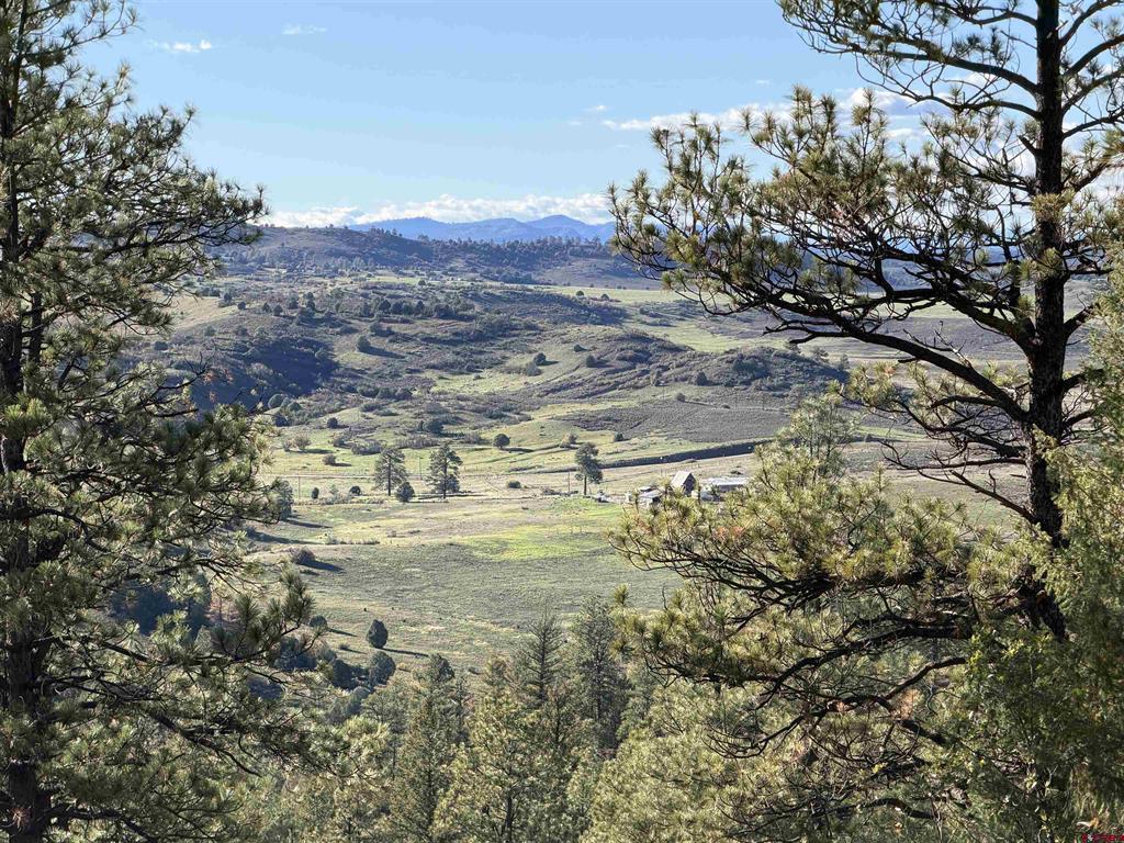 X S Cougar Court Pagosa Springs CO 81147