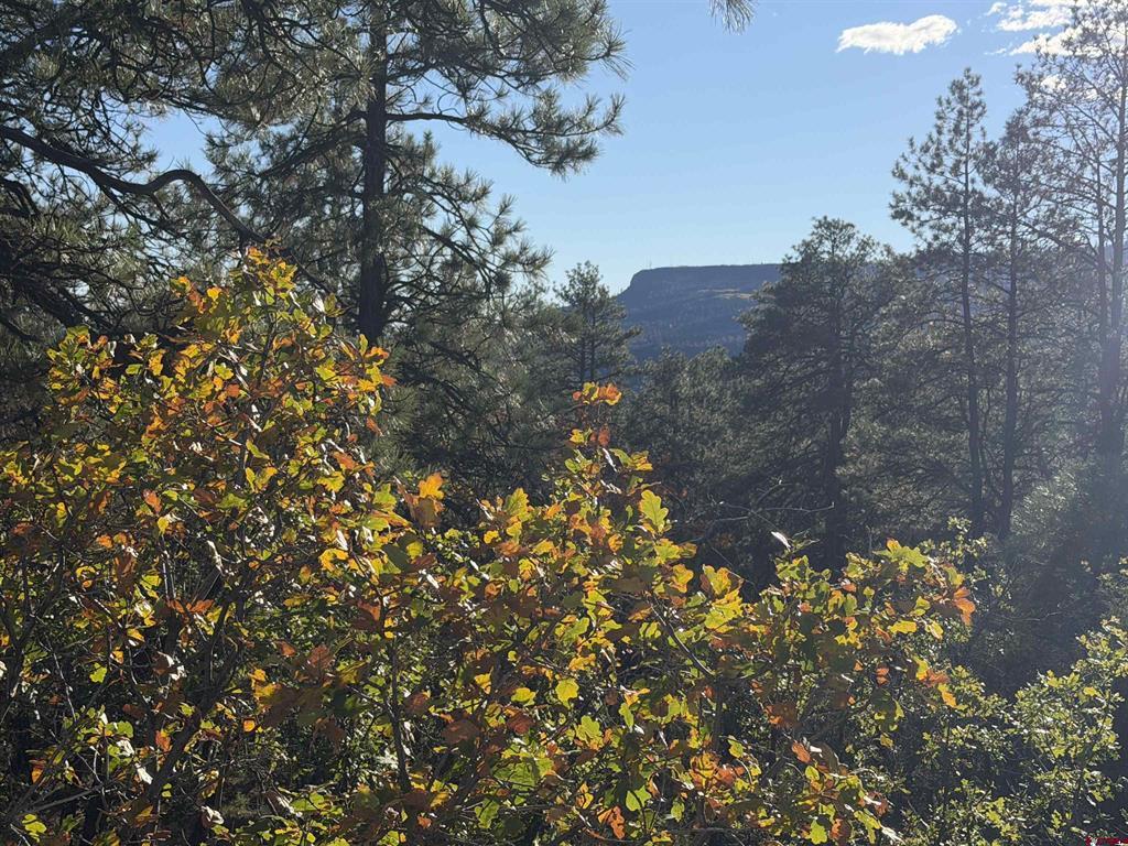 X S Cougar Court Pagosa Springs CO 81147
