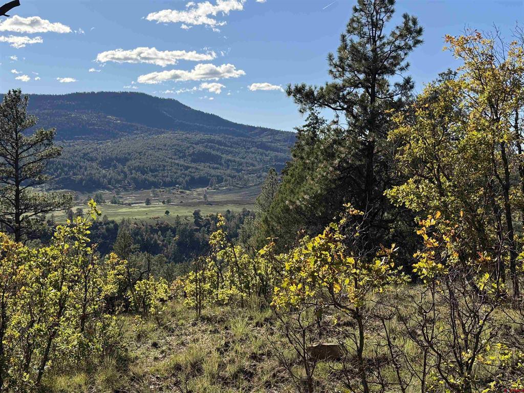 X S Cougar Court Pagosa Springs CO 81147