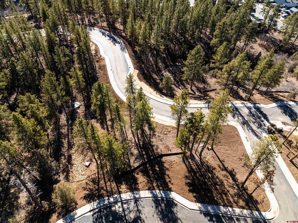 20 Avalanche Lily Drive (Lot 130) Durango CO 81301