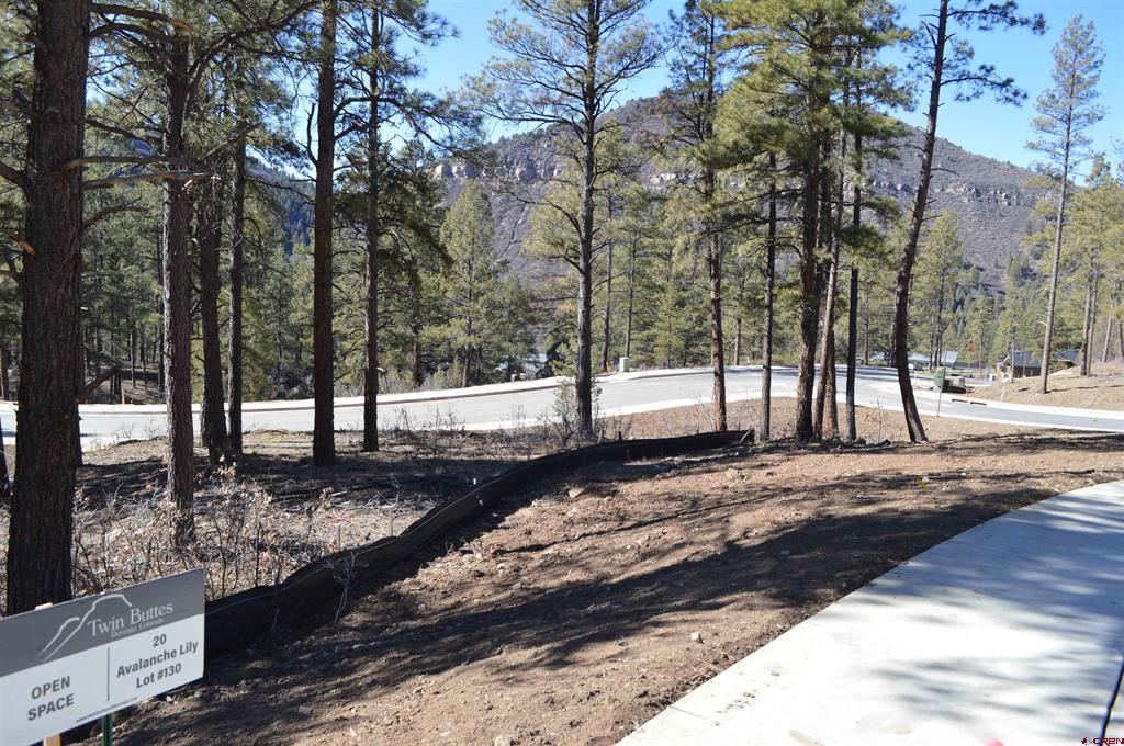 20 Avalanche Lily Drive (Lot 130) Durango CO 81301