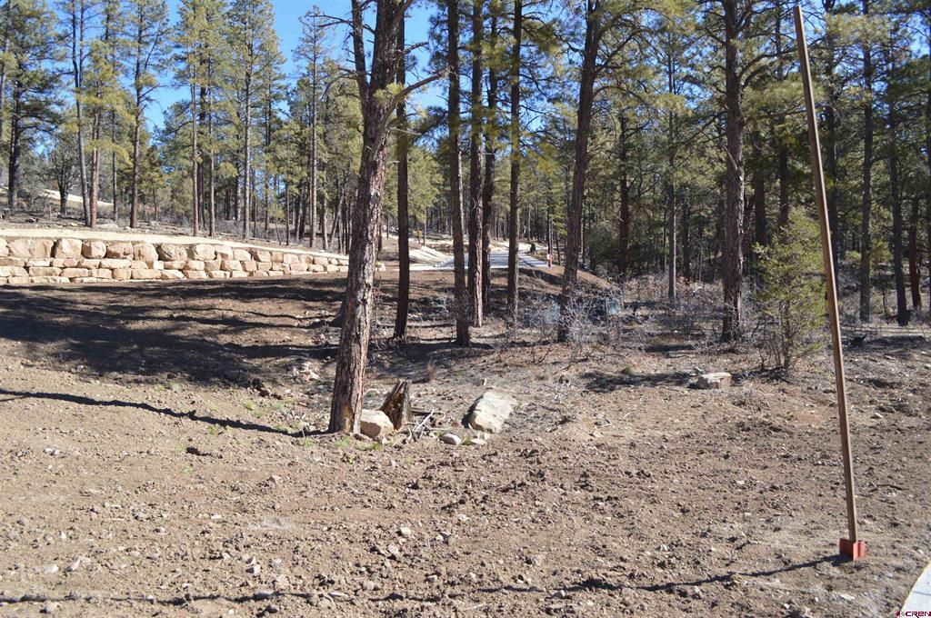 20 Avalanche Lily Drive (Lot 130) Durango CO 81301