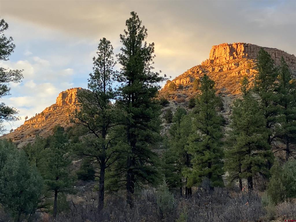 20 Avalanche Lily Drive (Lot 130) Durango CO 81301