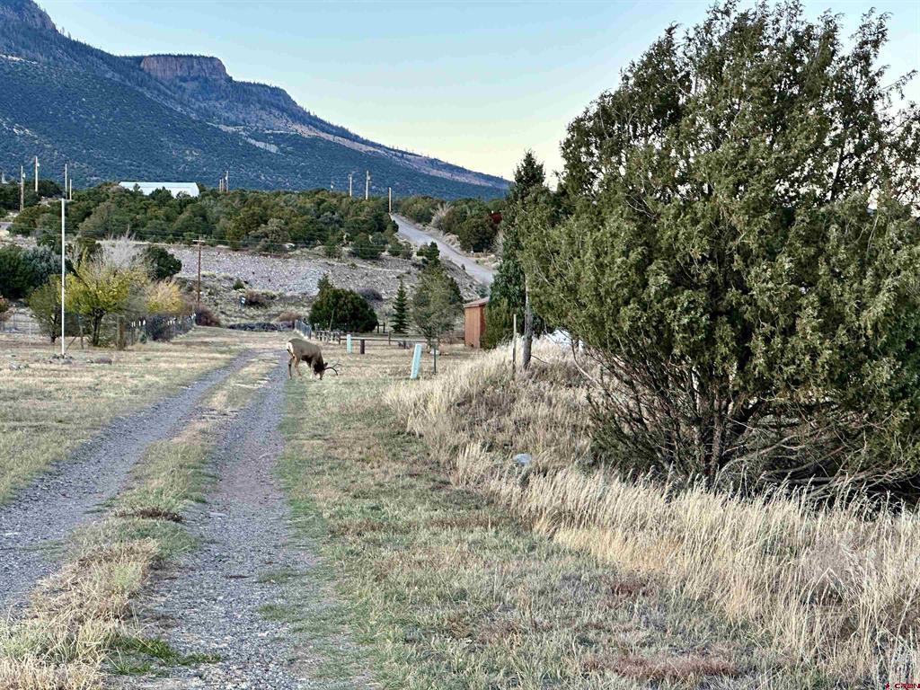 129 Rayburn Road South Fork CO 81154