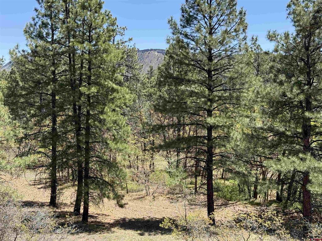 Tbd Ventana Pass Durango CO 81301