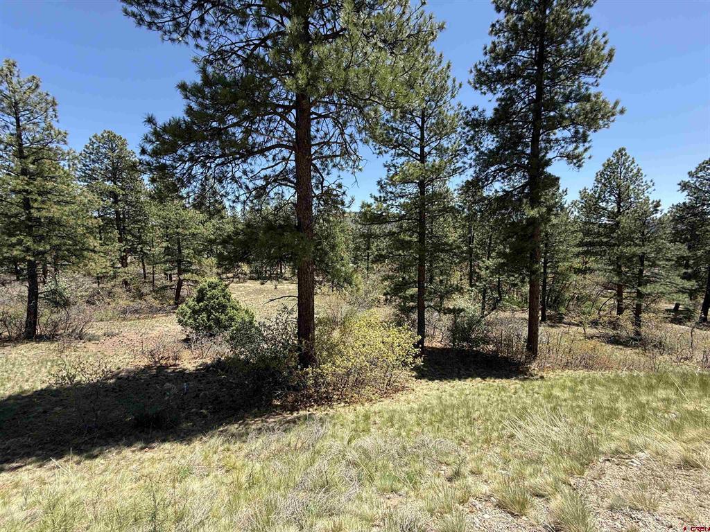 Tbd Ventana Pass Durango CO 81301