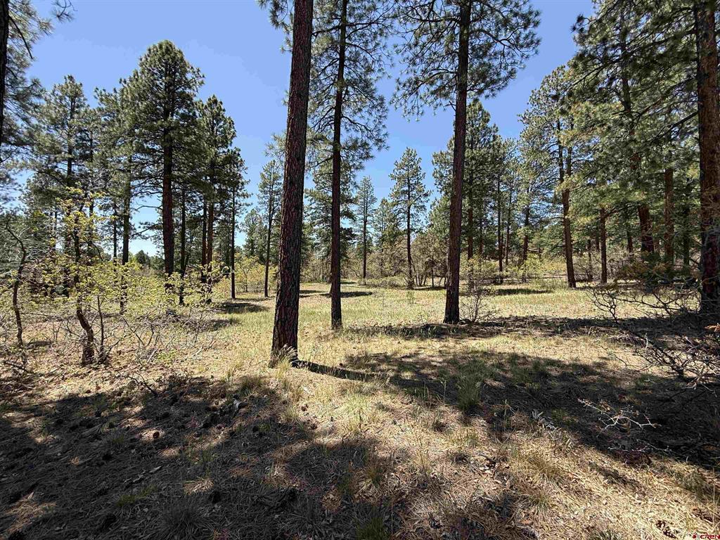 Tbd Ventana Pass Durango CO 81301