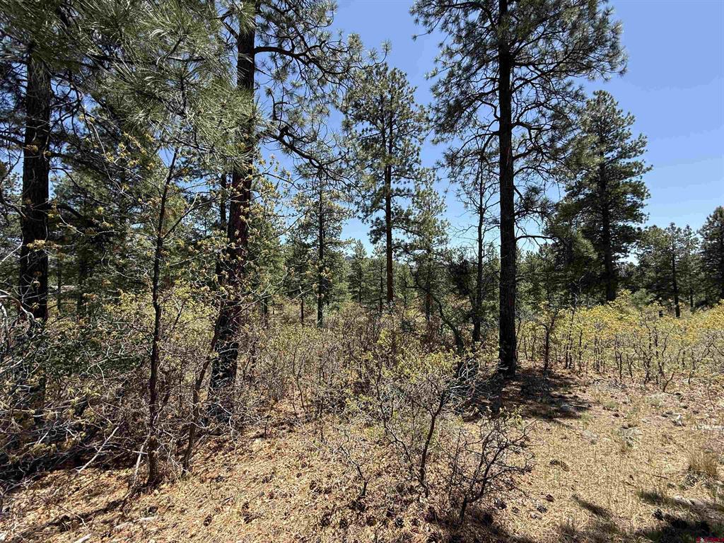 Tbd Ventana Pass Durango CO 81301