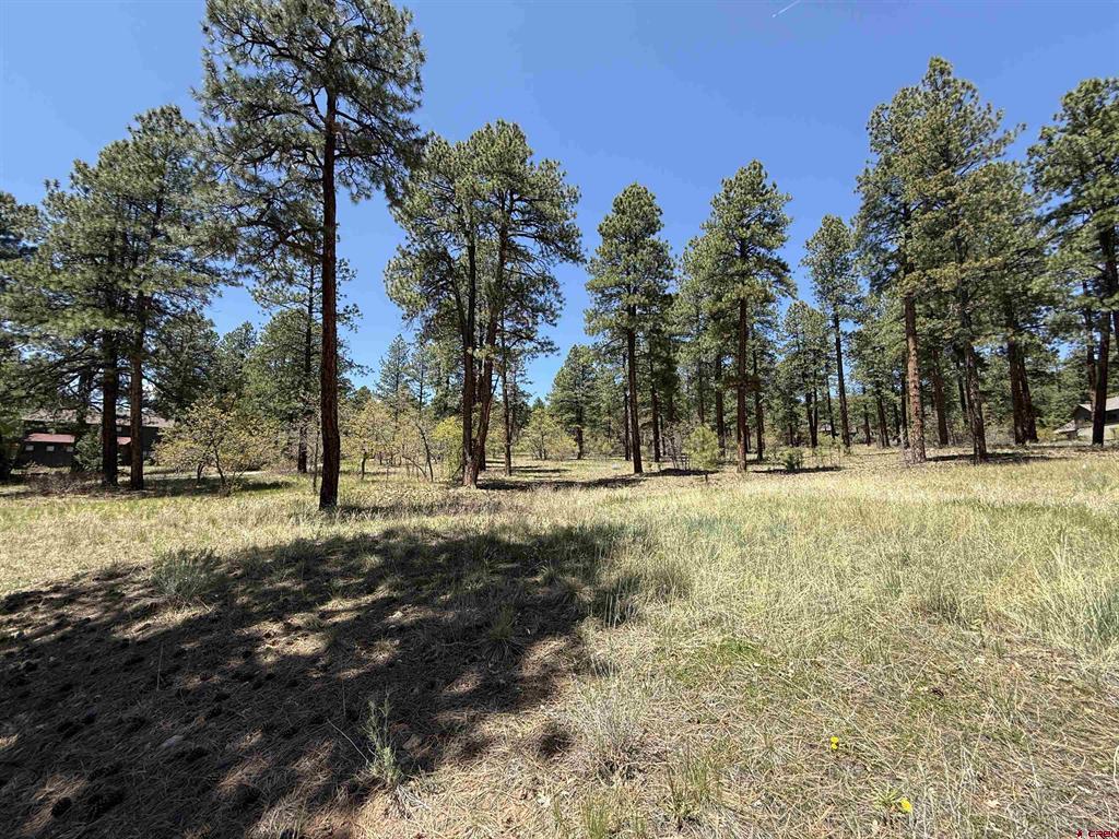 Tbd Ventana Pass Durango CO 81301