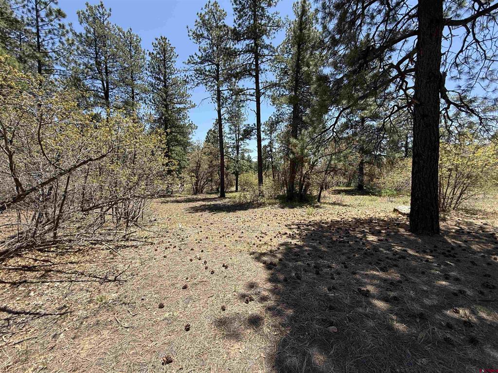 Tbd Ventana Pass Durango CO 81301