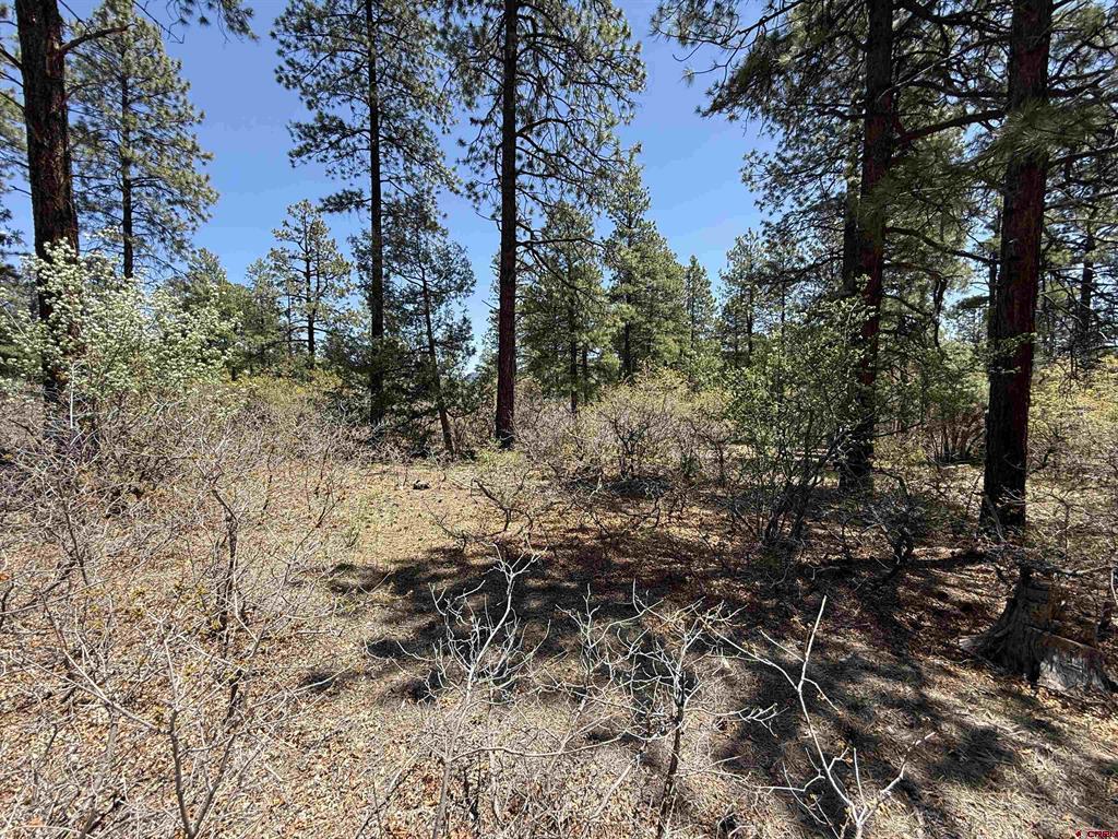 Tbd Ventana Pass Durango CO 81301