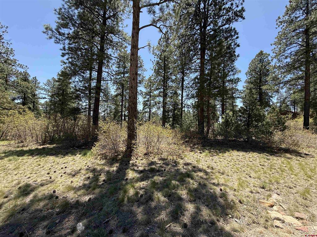 Tbd Ventana Pass Durango CO 81301