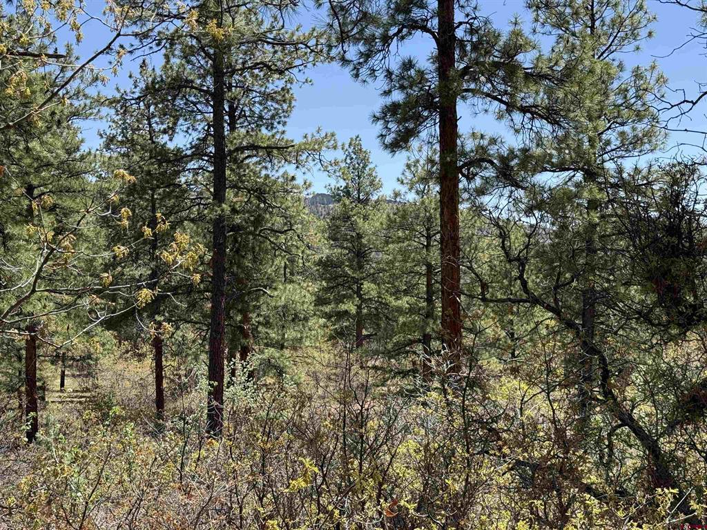 Tbd Ventana Pass Durango CO 81301
