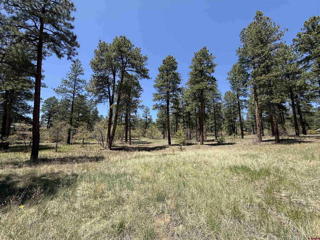 Tbd Ventana Pass Durango CO 81301