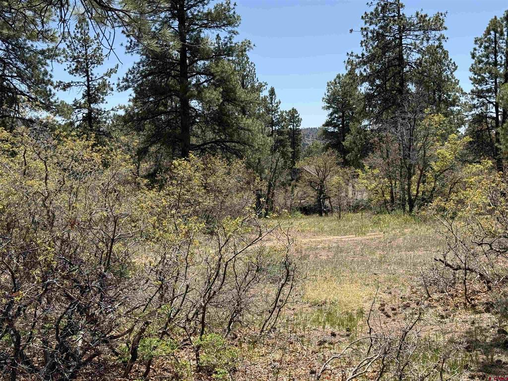 Tbd Ventana Pass Durango CO 81301