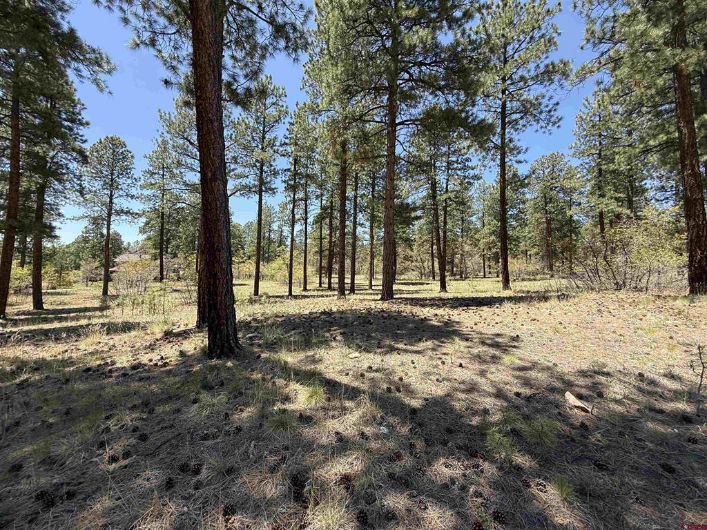 Tbd Ventana Pass Durango CO 81301