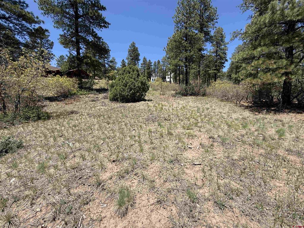 Tbd Ventana Pass Durango CO 81301