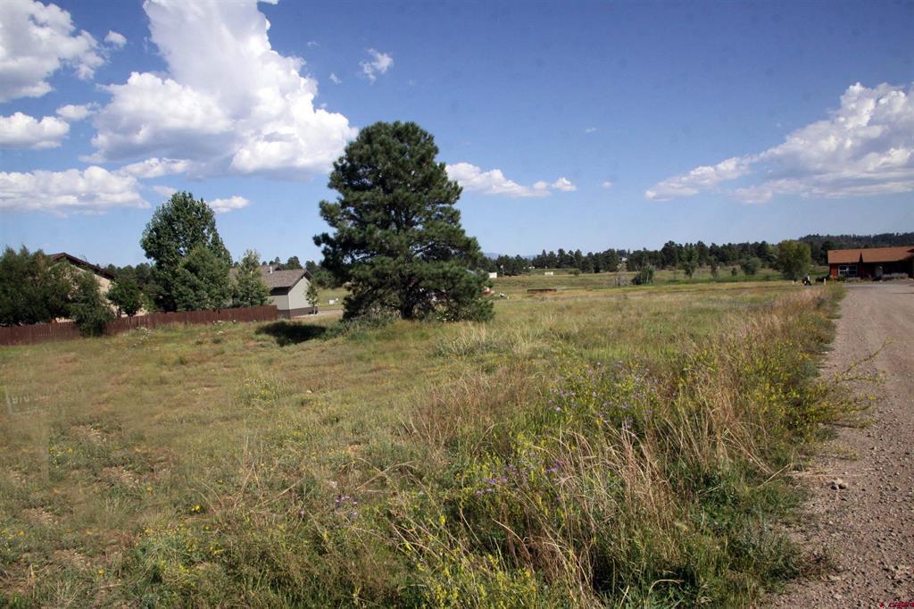 49 Paradise Drive Pagosa Springs CO 81147