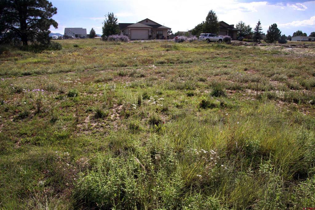49 Paradise Drive Pagosa Springs CO 81147