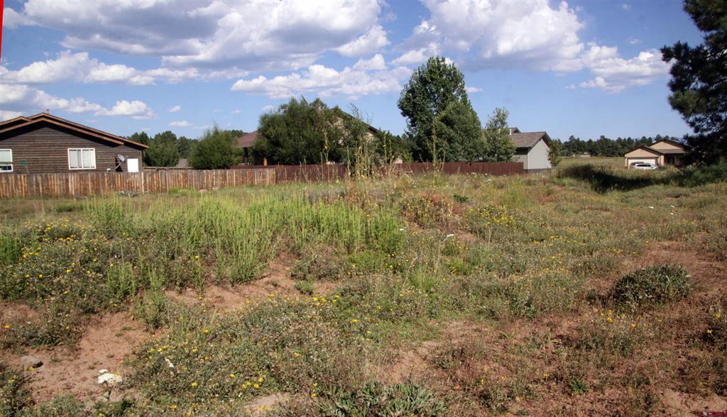 49 Paradise Drive Pagosa Springs CO 81147