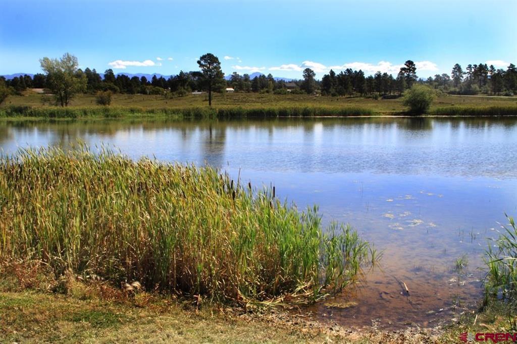 49 Paradise Drive Pagosa Springs CO 81147