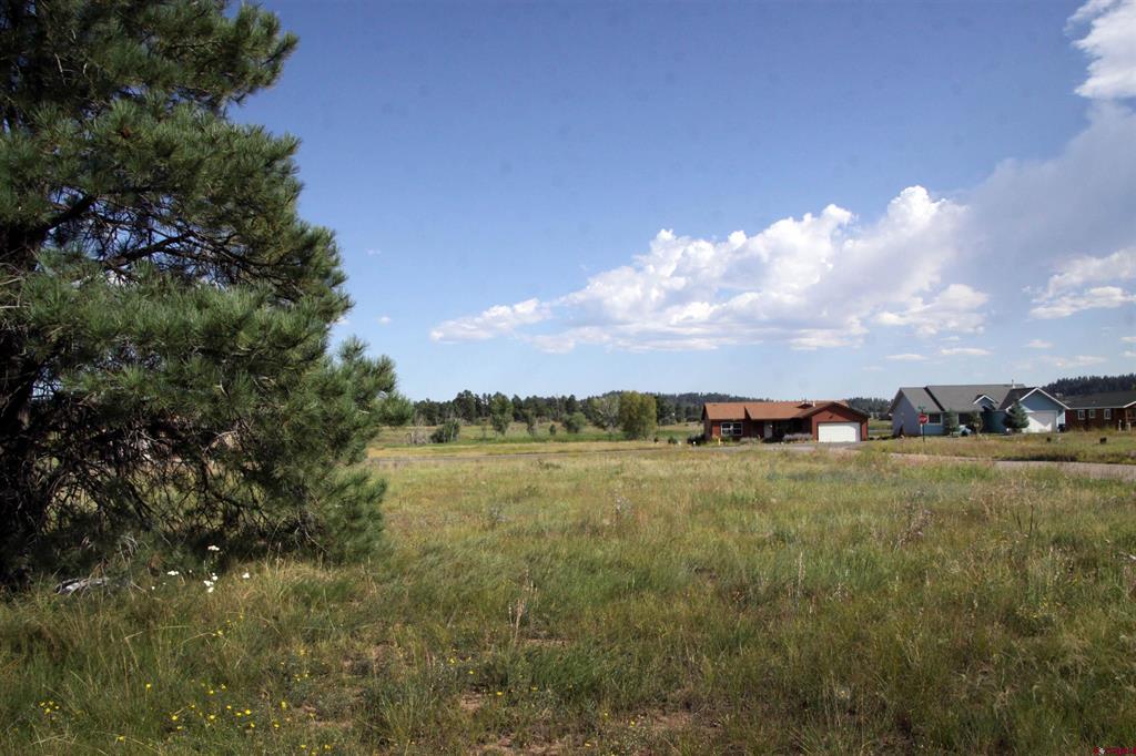 49 Paradise Drive Pagosa Springs CO 81147