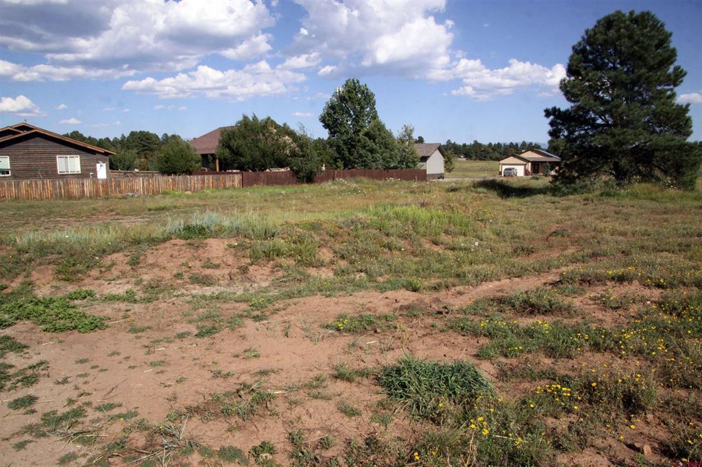 49 Paradise Drive Pagosa Springs CO 81147