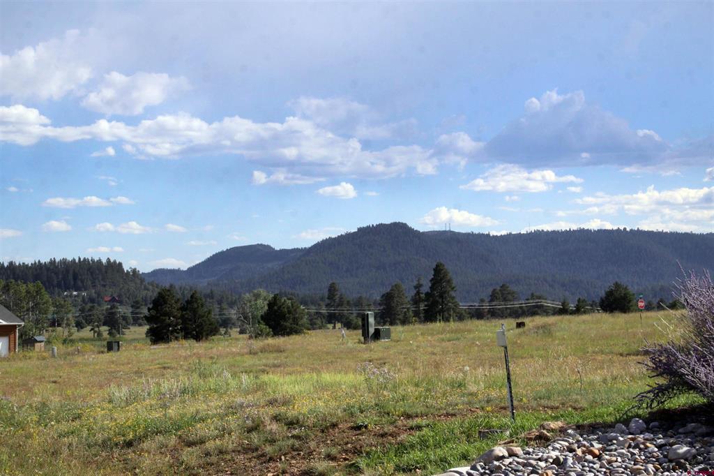 49 Paradise Drive Pagosa Springs CO 81147
