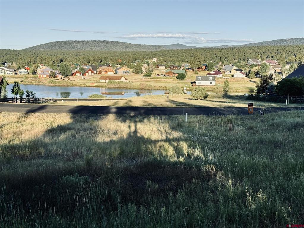 374 Incline Circle Pagosa Springs CO 81147