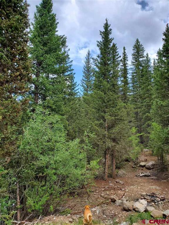 Tbd Cr 2 Animas River And Arrastra Creek Silverton CO 81433