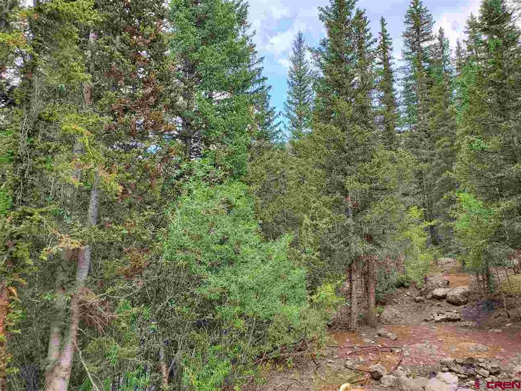 Tbd Cr 2 Animas River And Arrastra Creek Silverton CO 81433