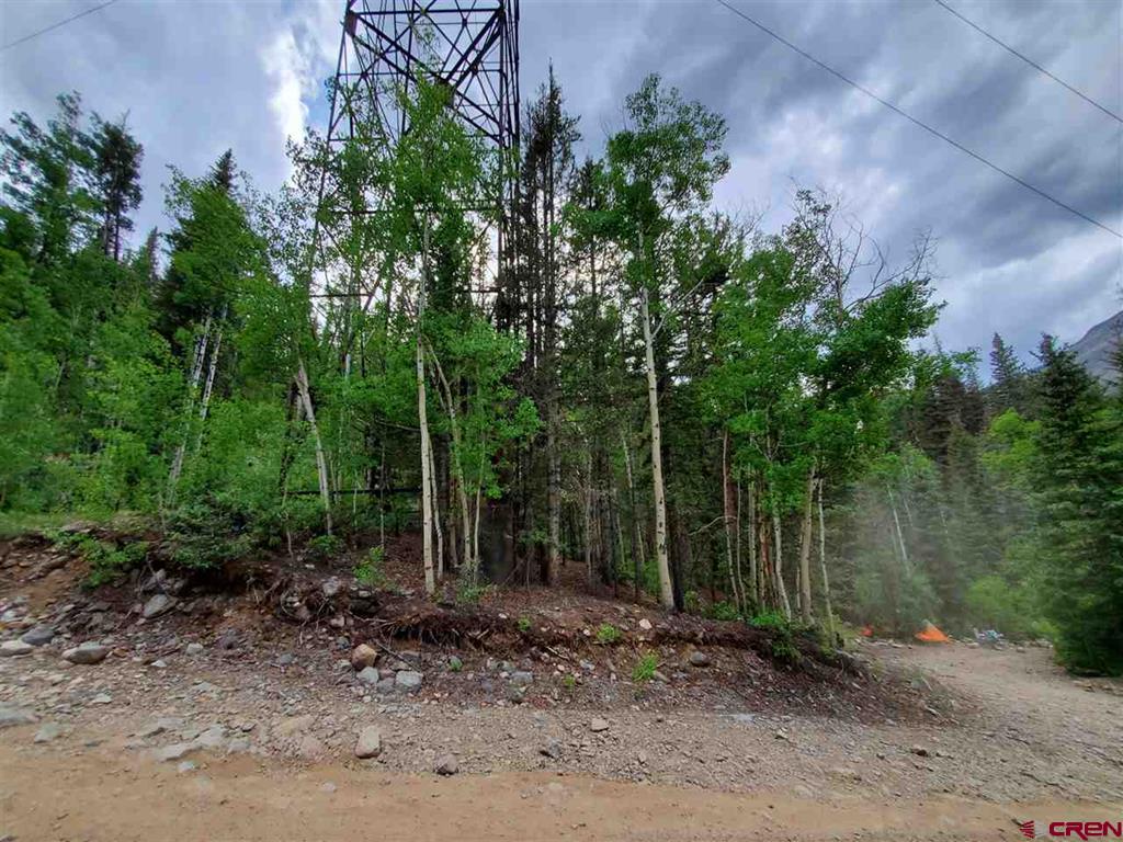 Tbd Cr 2 Animas River And Arrastra Creek Silverton CO 81433