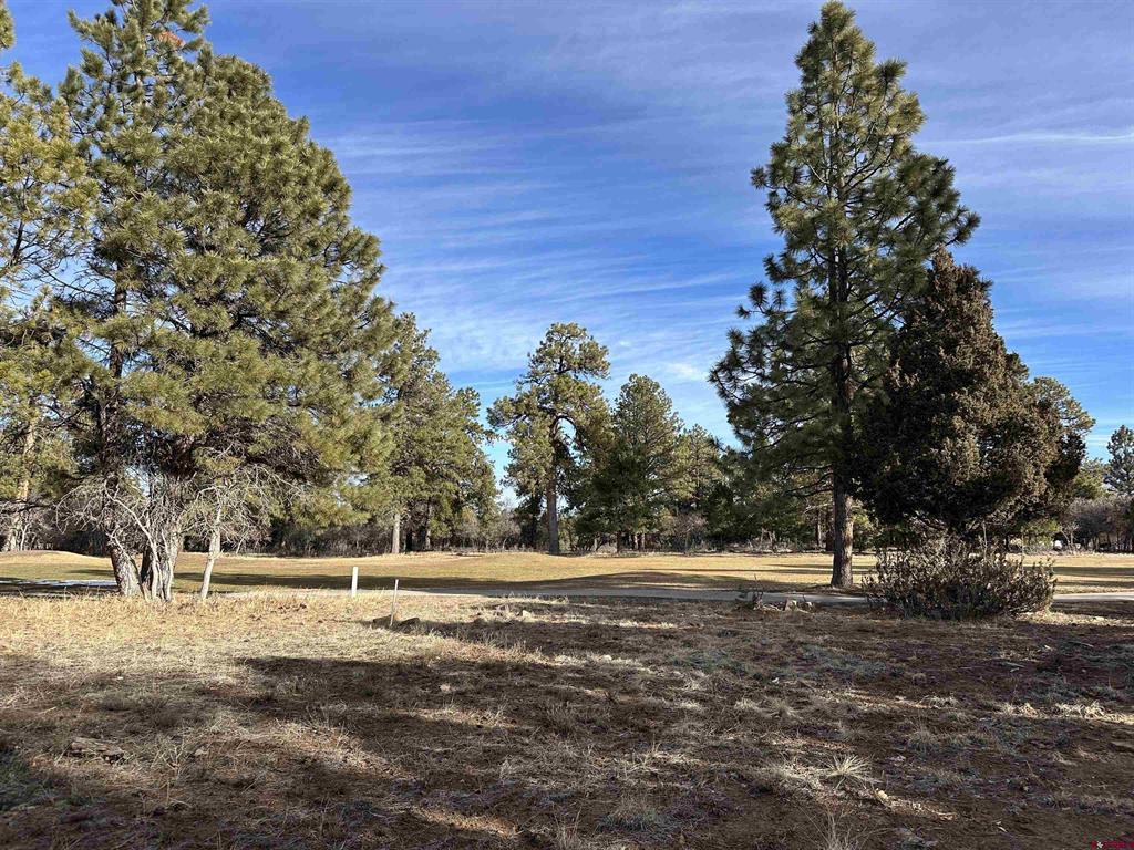 120 Puma Lane Ridgway CO 81432