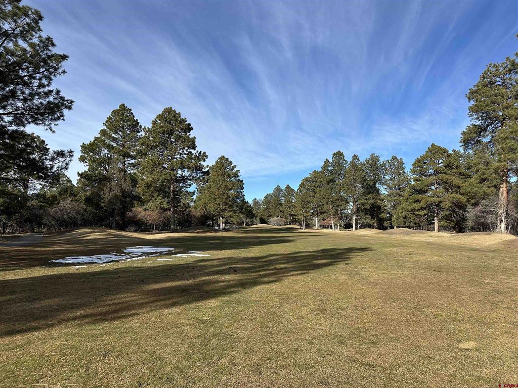 120 Puma Lane Ridgway CO 81432