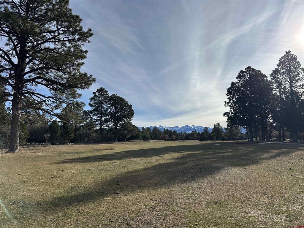 120 Puma Lane Ridgway CO 81432