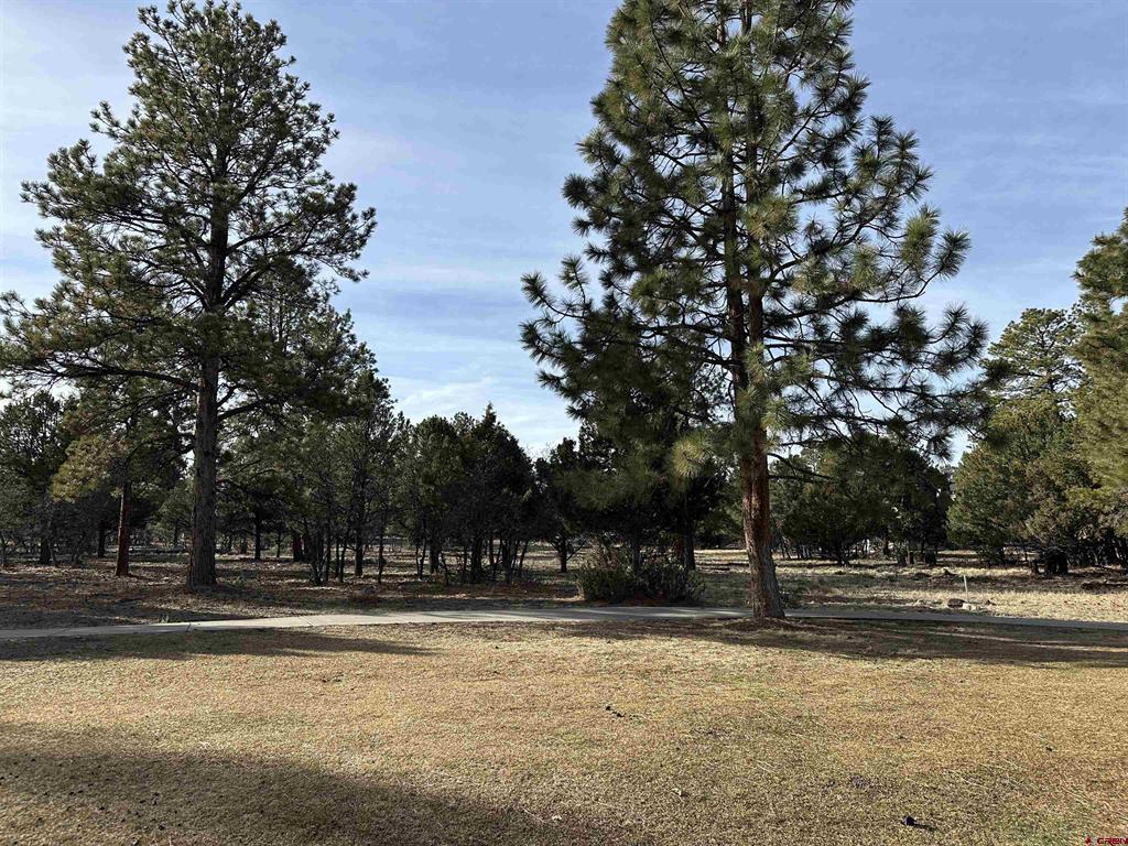 120 Puma Lane Ridgway CO 81432
