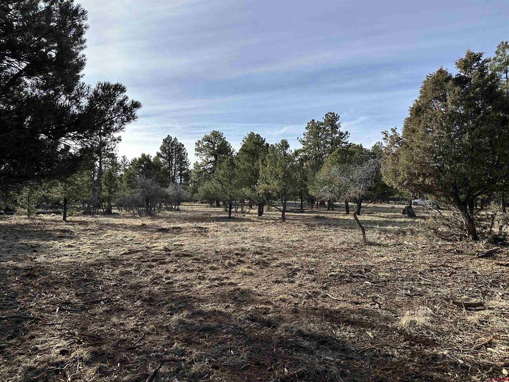 120 Puma Lane Ridgway CO 81432