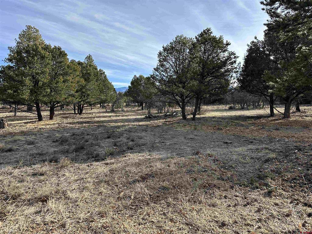 120 Puma Lane Ridgway CO 81432