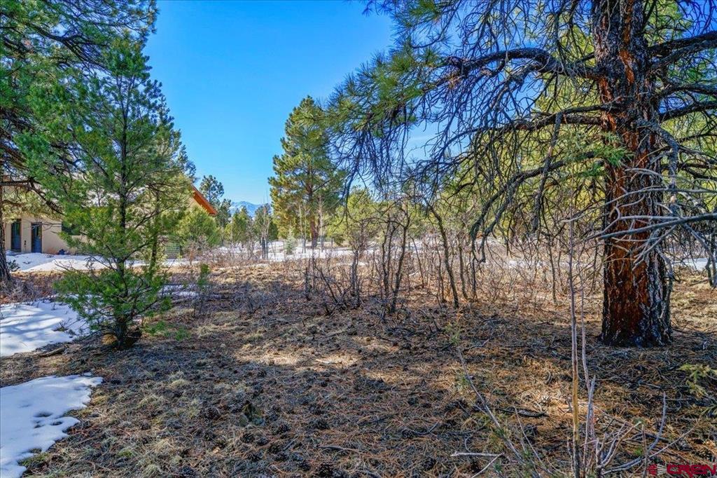 Tbd Lot 564 Marmot Ridgway CO 81432