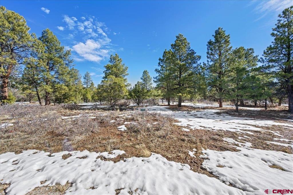 Tbd Lot 564 Marmot Ridgway CO 81432