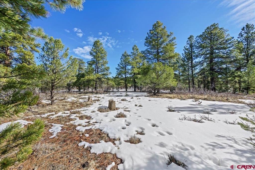 Tbd Lot 564 Marmot Ridgway CO 81432