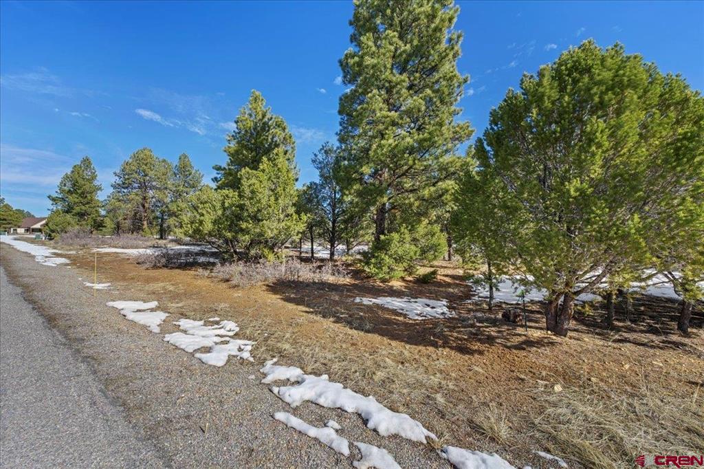 Tbd Lot 564 Marmot Ridgway CO 81432