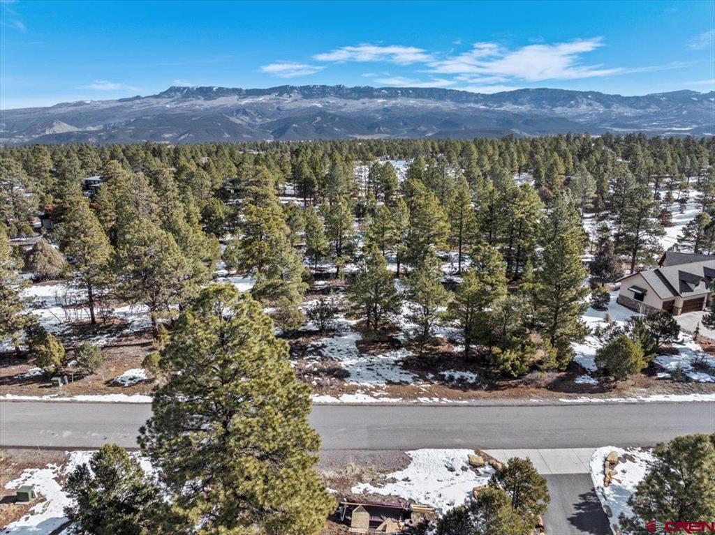 Tbd Lot 564 Marmot Ridgway CO 81432